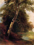 durand Nature Study A Birch Tree Art A4 Photo Print