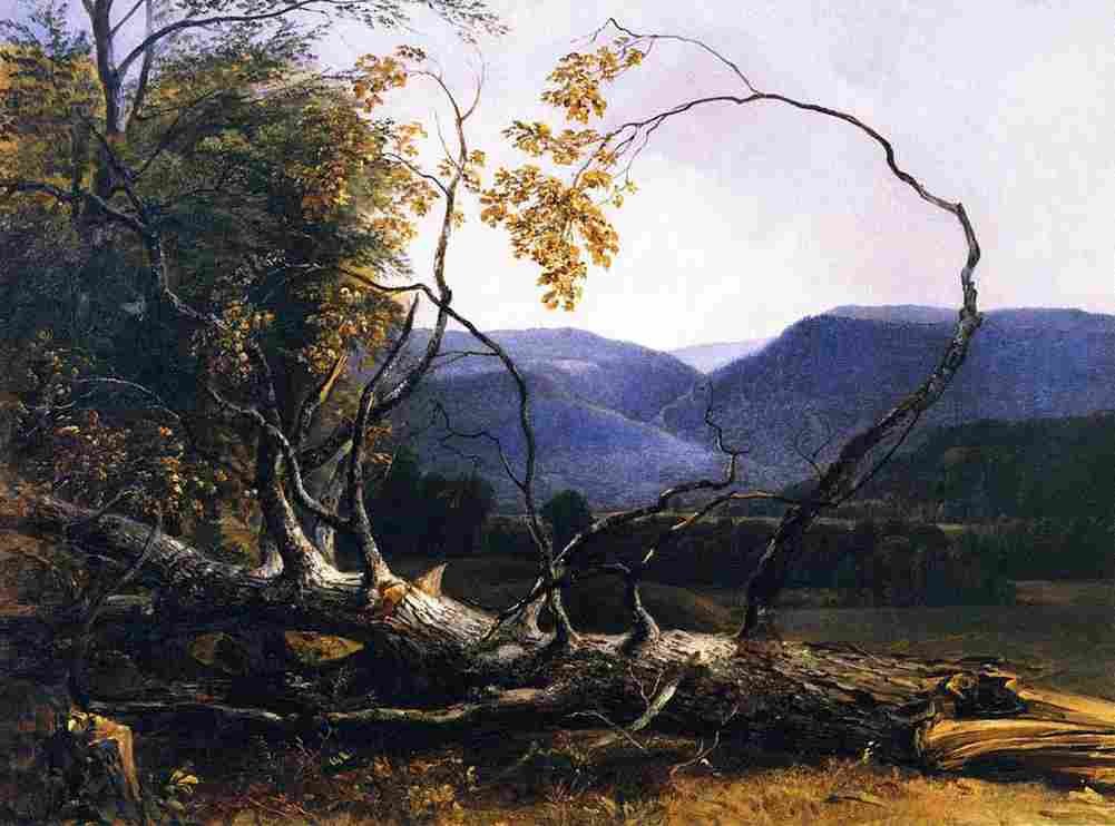 durand Study from Nature Stratton Notch Vermont Art A4 Photo Print