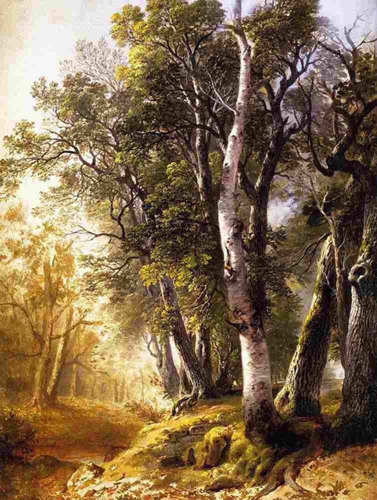 durand Trees by the Brookside Kingston New York Art A4 Photo Print
