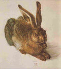 durer Hare Art A4 Photo Print