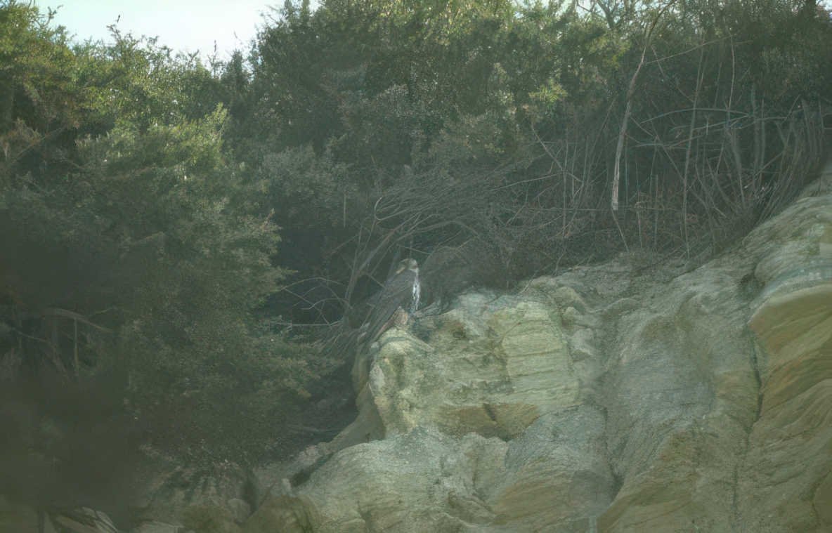eagle cliff landscape Vintage A4 Photo Print