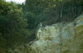 eagle cliff texas Vintage A4 Photo Print