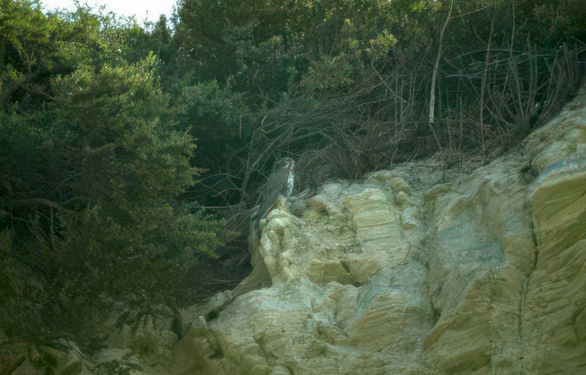 eagle cliff texas Vintage A4 Photo Print