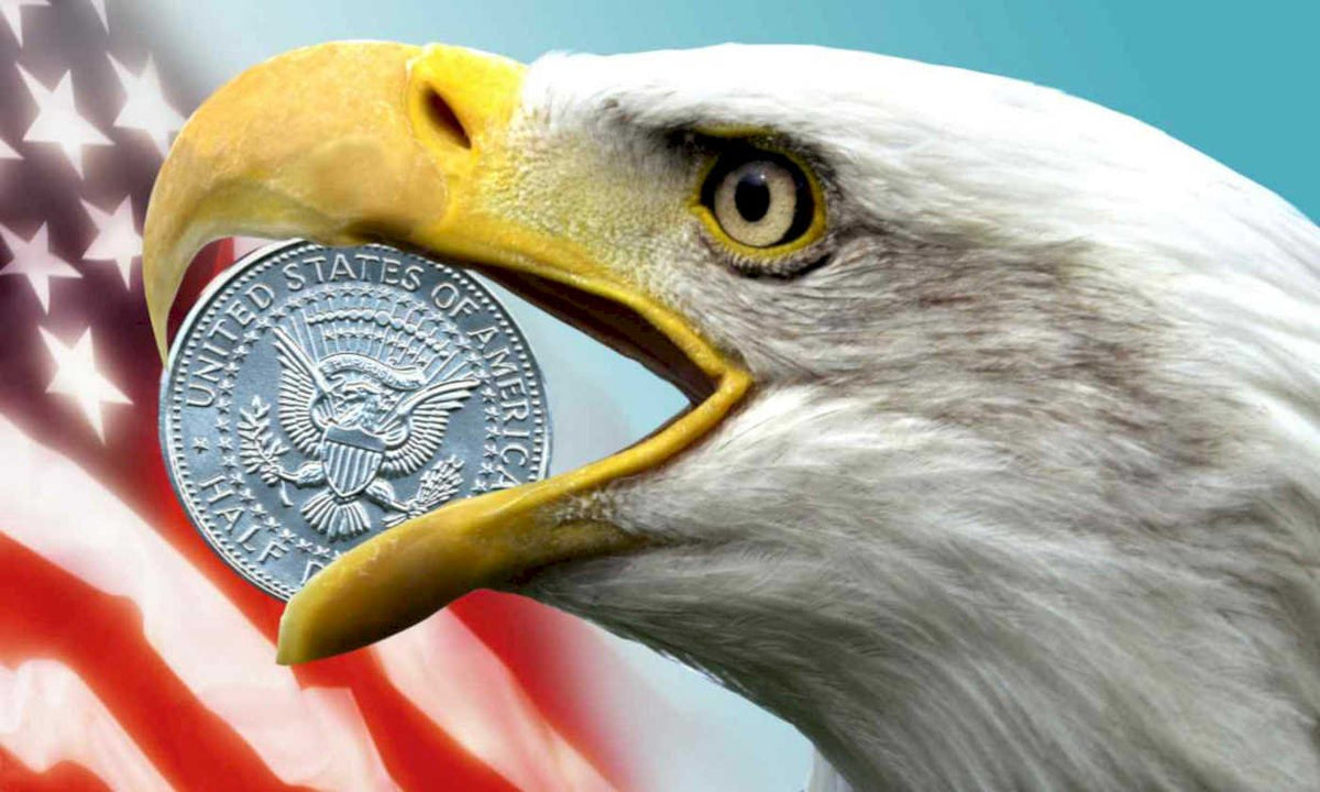 eagle dollar flag Flags1980s A4 Photo Print