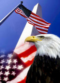 eagle memorial flag Flags1980s A4 Photo Print
