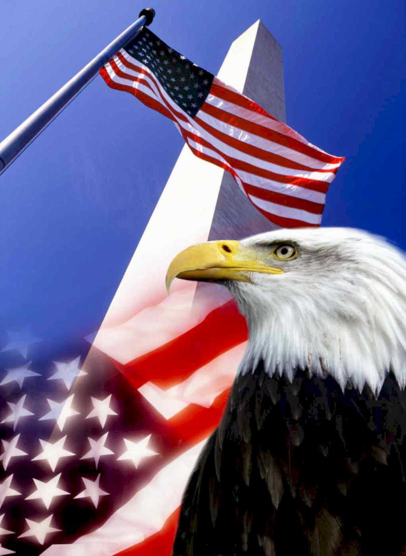 eagle memorial flag Flags1980s A4 Photo Print