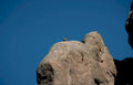 eagle peak mountains Vintage A4 Photo Print