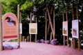 eagle trail signs1980s 1990s A4 Photo Print