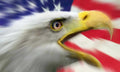 eagle usflag closeup Flags1980s A4 Photo Print