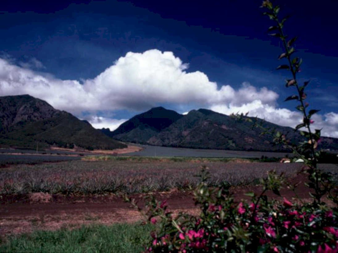 ecuador highlands bluefields1980s 1990s A4 Photo Print