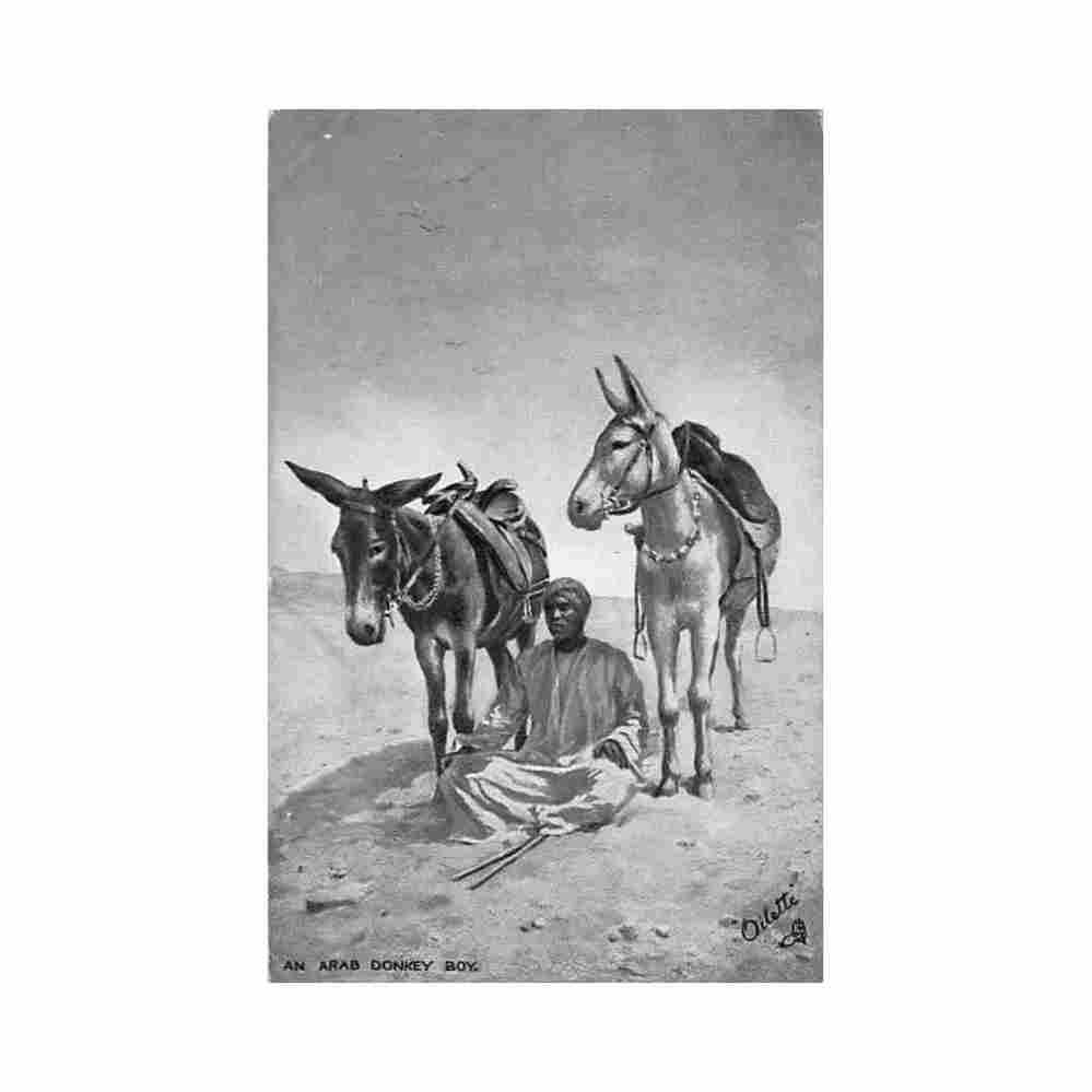 egypt an arab donkey boy raphael tuck sons Vintage A4 Photo Print
