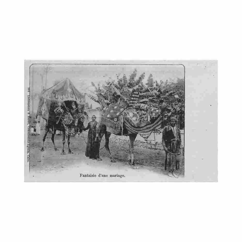 egypt arab wedding lichtenstern harari 283 Vintage A4 Photo Print
