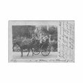egypt cairo stagecoach in gezira garden year 1903 Vintage A4 Photo Print