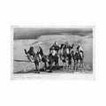 egypt group of camels lb 393 Vintage A4 Photo Print