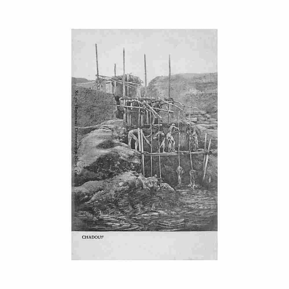 egypt shadoof irrigation tool unknwon Vintage A4 Photo Print