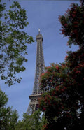 eiffel tower paris 1 1980s 1990s A4 Photo Print