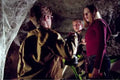 eight legged freaks 08 film star poster A4 Photo Print