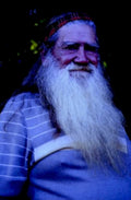 elderly man forest1980s 1990s A4 Photo Print