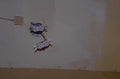 electrical outlets wall 1980s 1990s A4 Photo Print