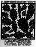 emblemata cactus mc escher 1931 A4 Photo Print