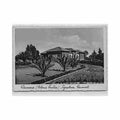 eritrea asmara general secretary a a e f cicero Vintage A4 Photo Print