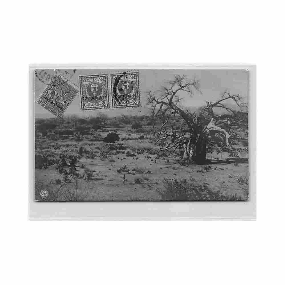 eritrea panorama of the western lowland with baobabs see stamps and postmarks a comini Vintage A4 Photo Print