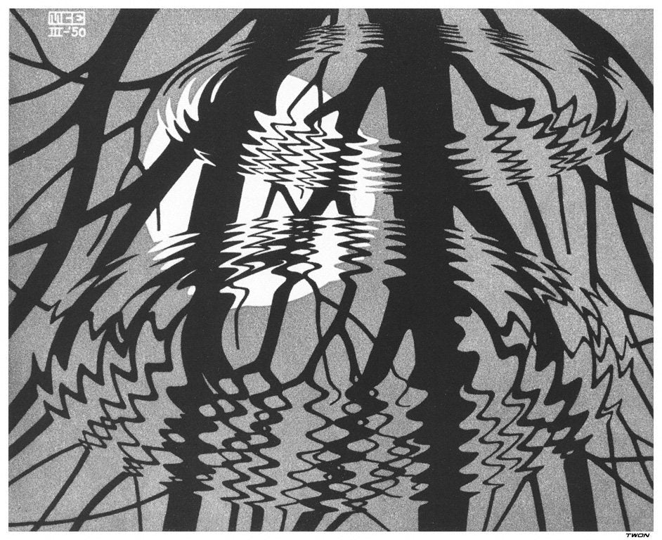 escher2 044 twon Rippled Surface Art A4 Photo Print