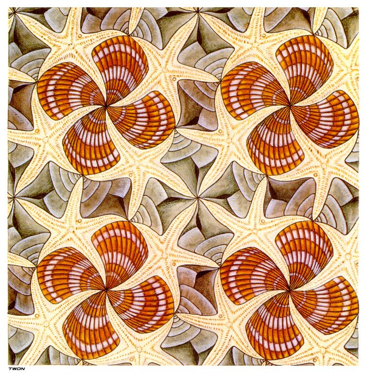 escher2 103 twon Shells and Starfish Art A4 Photo Print