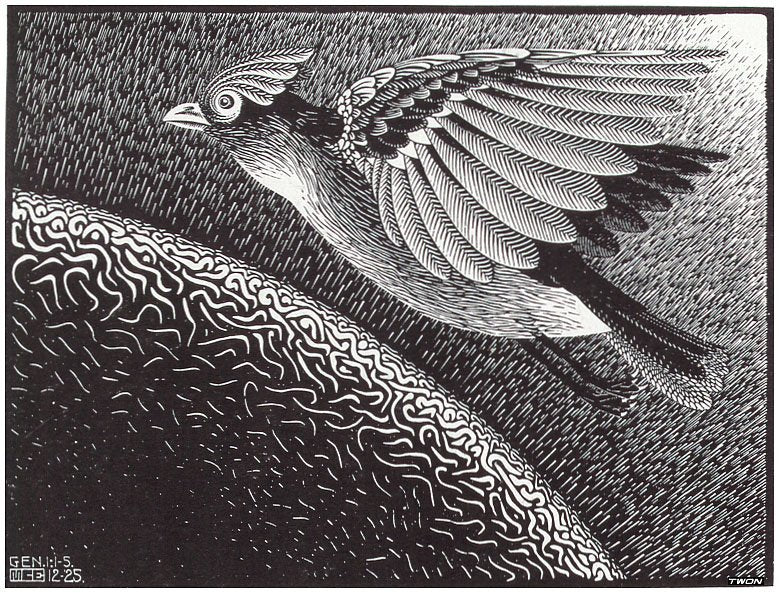 escher2 136 twon Art A4 Photo Print