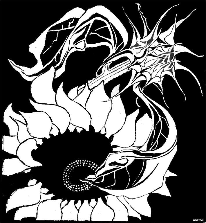 escher2 158 twon Sunflowers Art A4 Photo Print