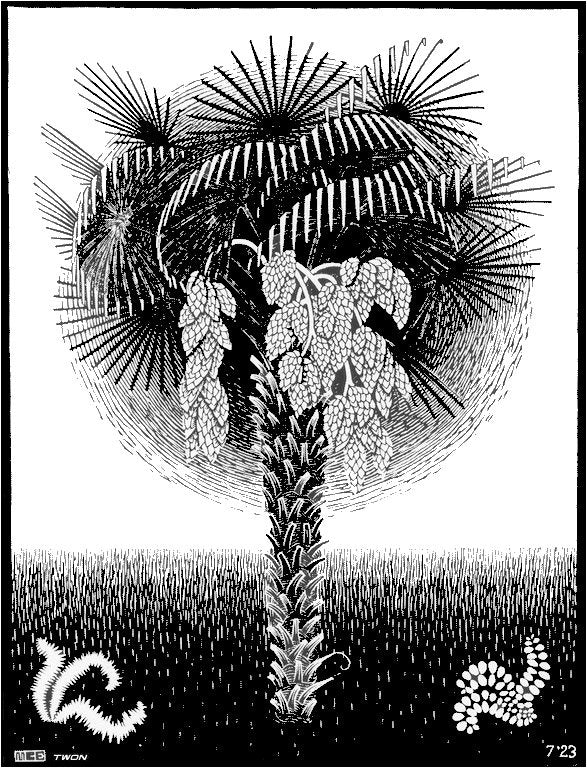 escher2 161 twon Palm Tree Art A4 Photo Print