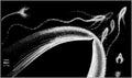 escher2 164 twon Dolphins Art A4 Photo Print