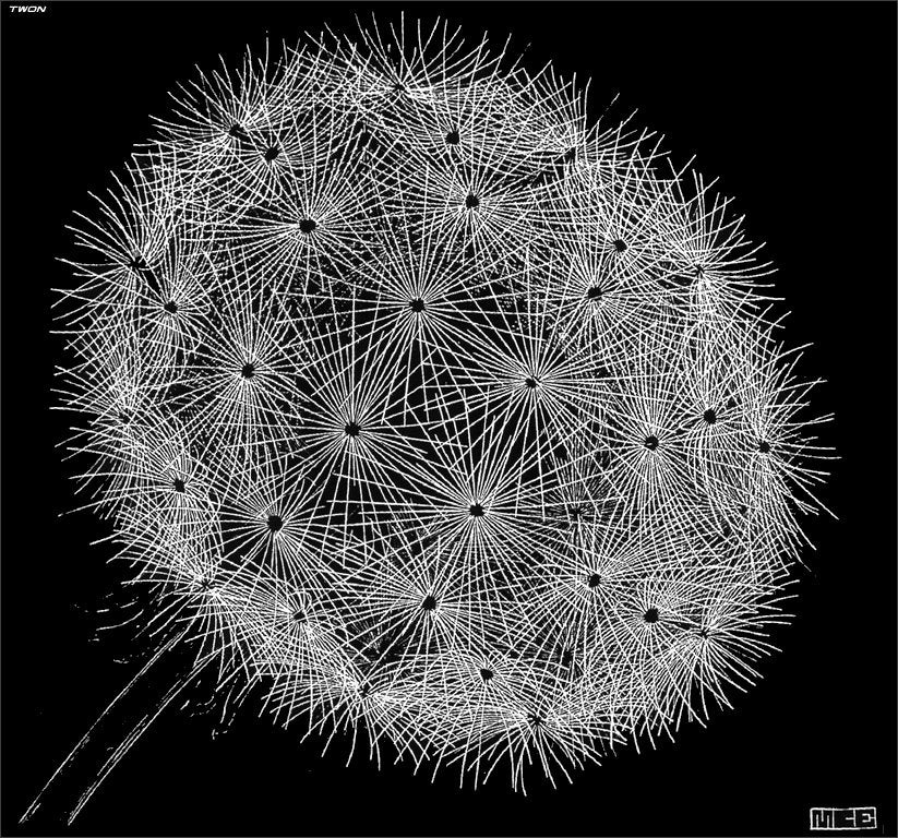 escher2 169 twon Blowball Art A4 Photo Print