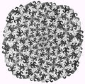 escher2 170 twon Division Art A4 Photo Print
