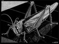 escher2 172 twon Grasshopper Art A4 Photo Print