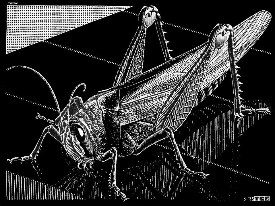 escher2 172 twon Grasshopper Art A4 Photo Print