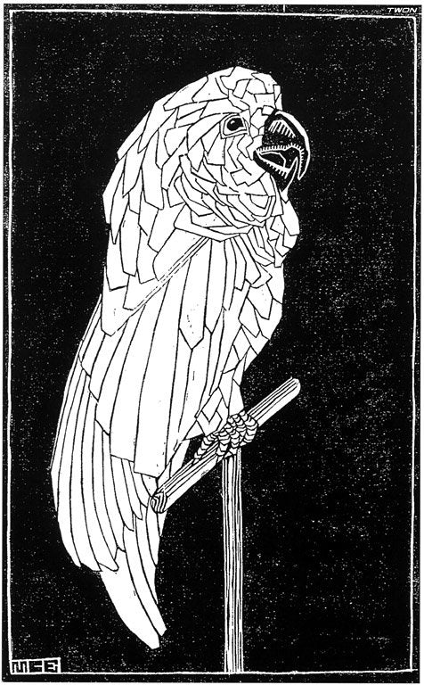 escher2 175 twon Parrot Art A4 Photo Print