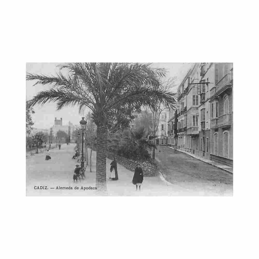 espana cadiz alemeda de podaca ed ejg Vintage A4 Photo Print