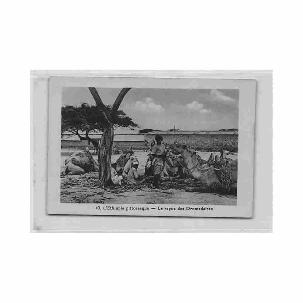 ethiopia dire dawa the rest of the camel train mission catholique de dire daoua d boudry 10 Vintage A4 Photo Print