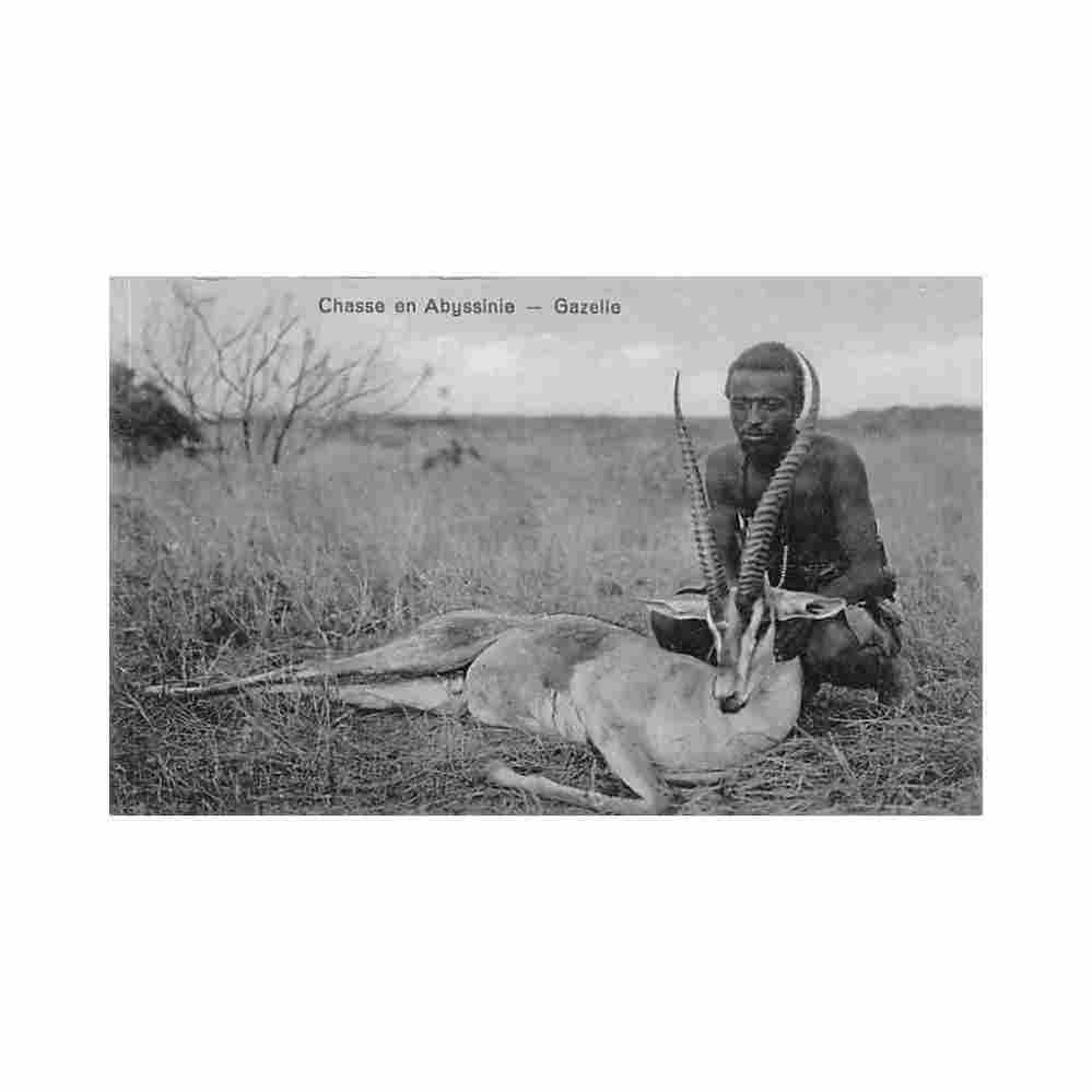 ethiopia hunting in abyssinia gazelle j a michel Vintage A4 Photo Print