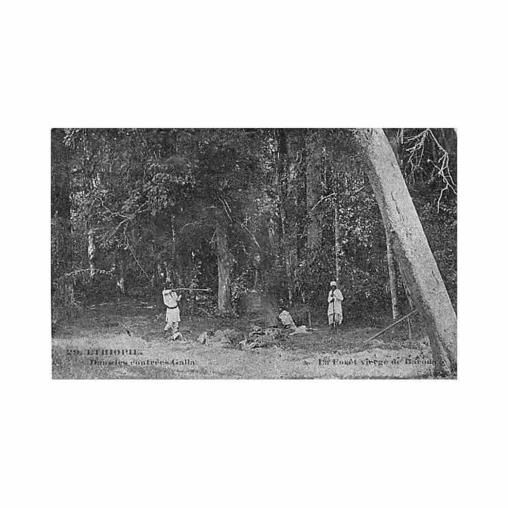 ethiopia in the baroda forest st lazarus printing house dire dawa 29 Vintage A4 Photo Print