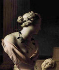 ever Venus still life Art A4 Photo Print