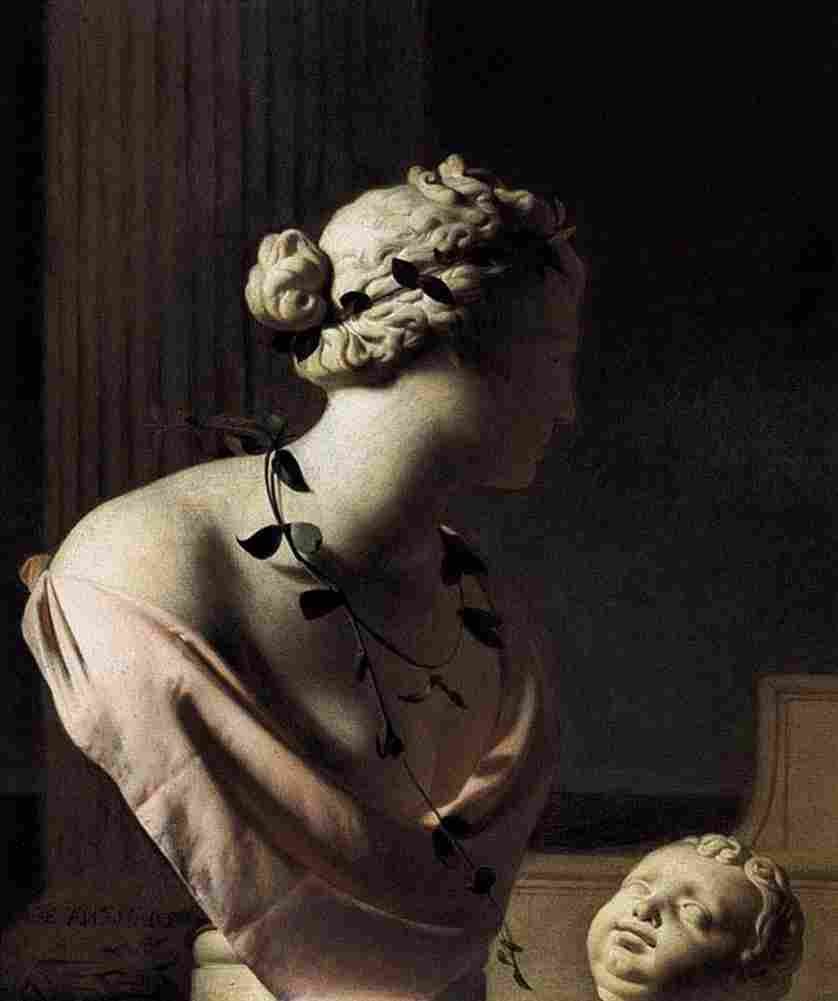 ever Venus still life Art A4 Photo Print