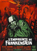 evil of frankenstein  05 film star poster A4 Photo Print