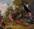 ex birds Art A4 Photo Print