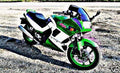 ex250 motorbike A4 Photo Print