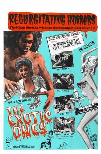 exotic ones  01 film star poster A4 Photo Print