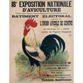 exposition d aviculture geneve 1925 3 Advert A4 Photo Print