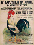 exposition d aviculture geneve 1925 5 Advert A4 Photo Print