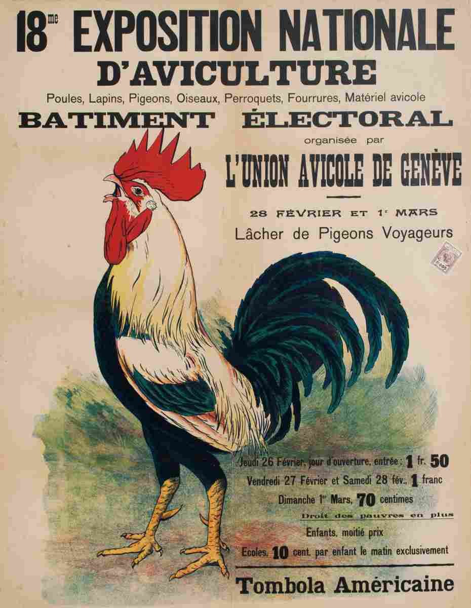 exposition d aviculture geneve 1925 5 Advert A4 Photo Print